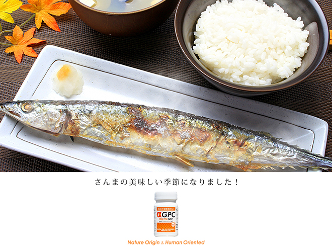 秋刀魚を食べよう！